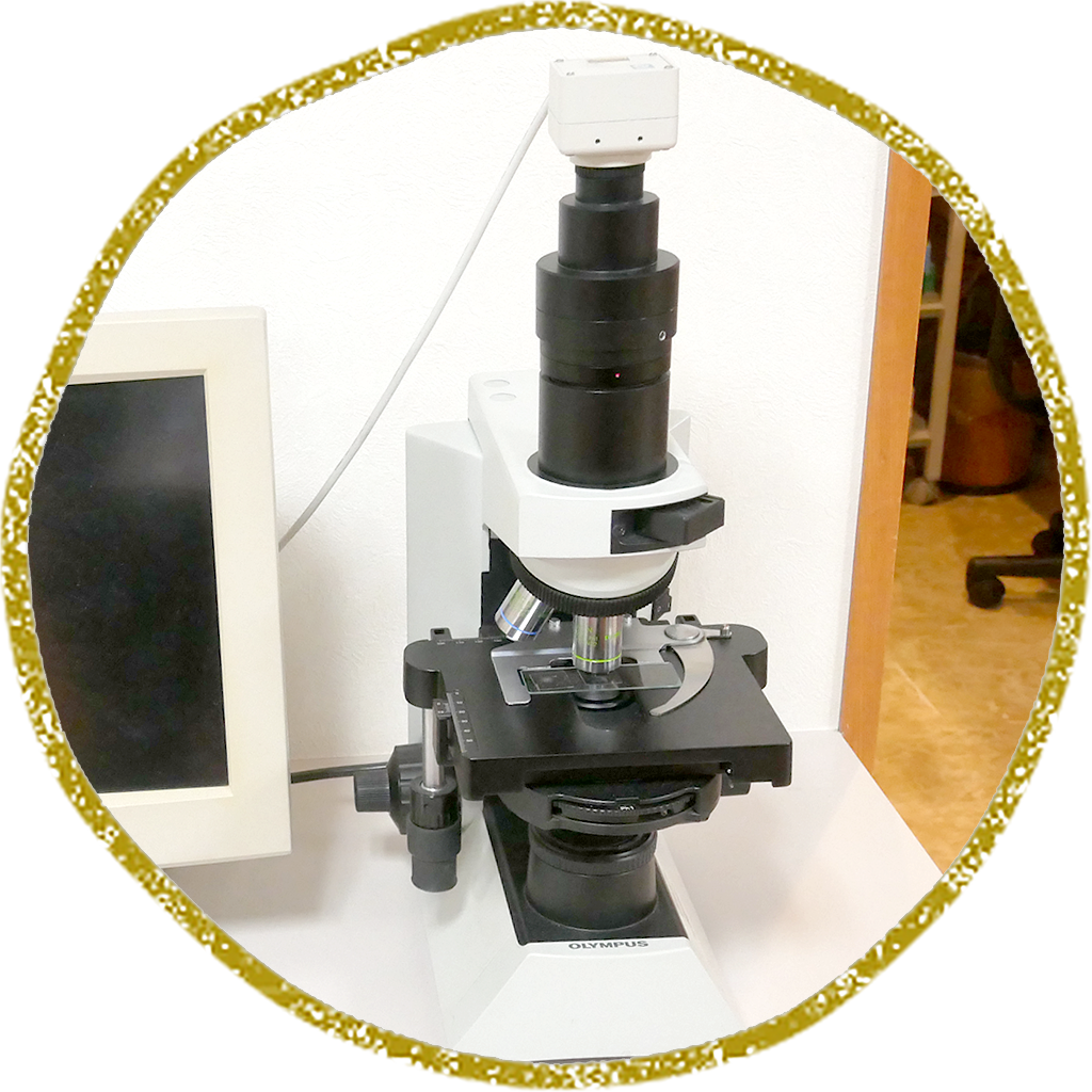 千種区自由ヶ丘・デンタルオフィス自由ヶ丘